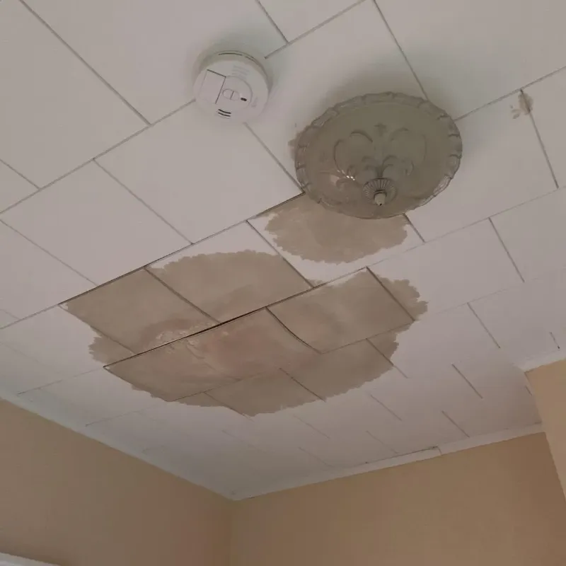 Ceiling Water Damage Repair in Tallulah, LA